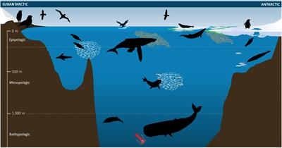 Marine Ecosystem Assessment for the Southern Ocean: Birds and Marine Mammals in a Changing Climate